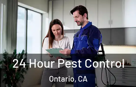  24 Hour Pest Control Ontario, CA