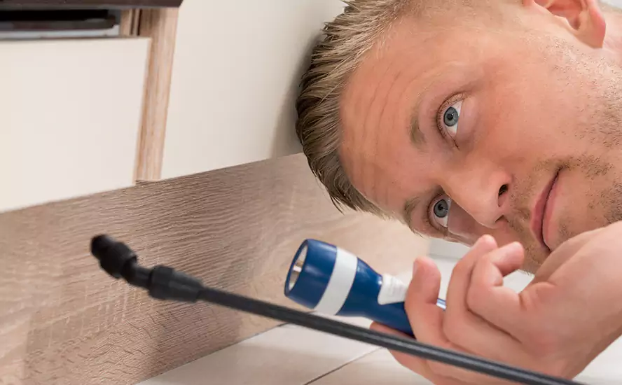 Top-Notch Pest Control in Ontario