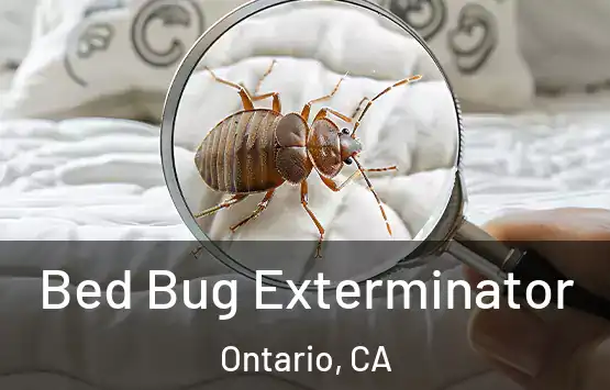  Bed Bug Exterminator Ontario, CA