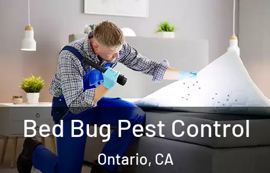  Bed Bug Pest Control Ontario, CA
