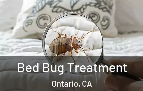  Bed Bug Treatment Ontario, CA
