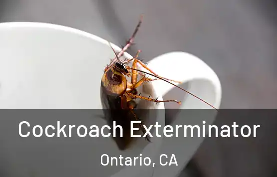  Cockroach Exterminator Ontario, CA