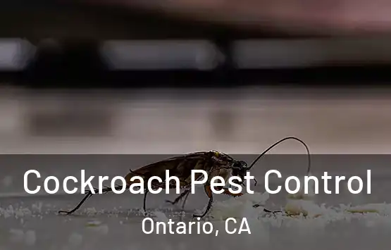  Cockroach Pest Control Ontario, CA