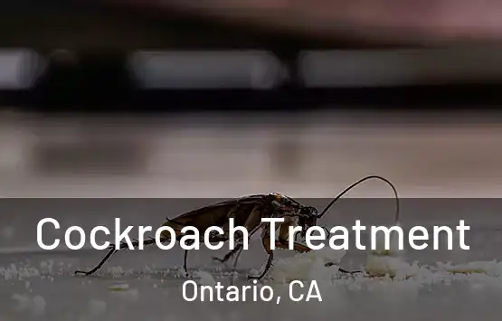  Cockroach Treatment Ontario, CA