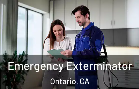  Emergency Exterminator Ontario, CA