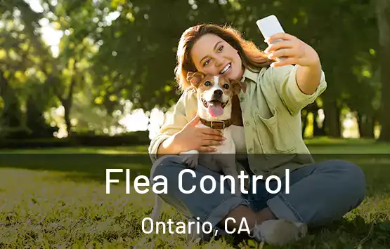  Flea Control Ontario, CA
