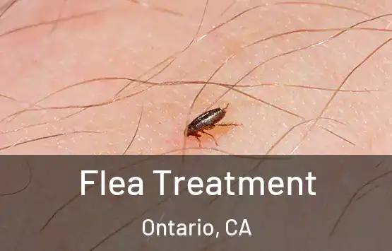  Flea Treatment Ontario, CA