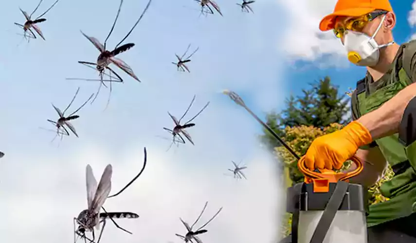 Mosquito Pest Control in Ontario, CA