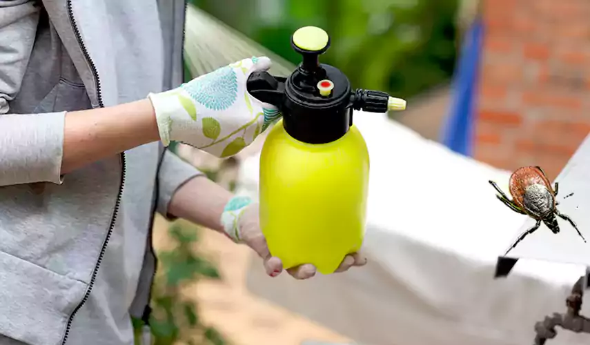 Ticks Pest Control Ontario, California