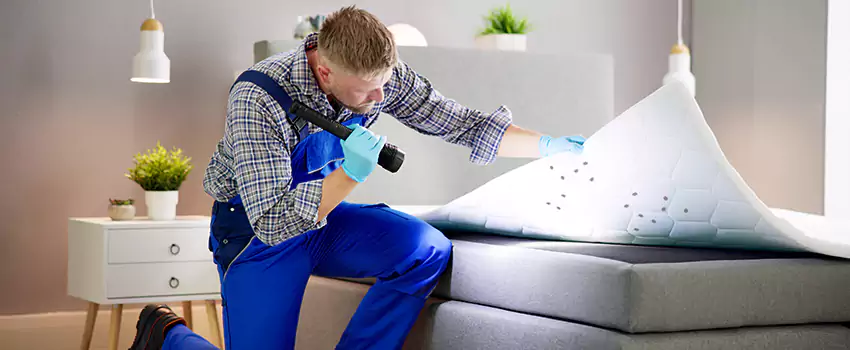bed-bug-treatment in Ontario, CA