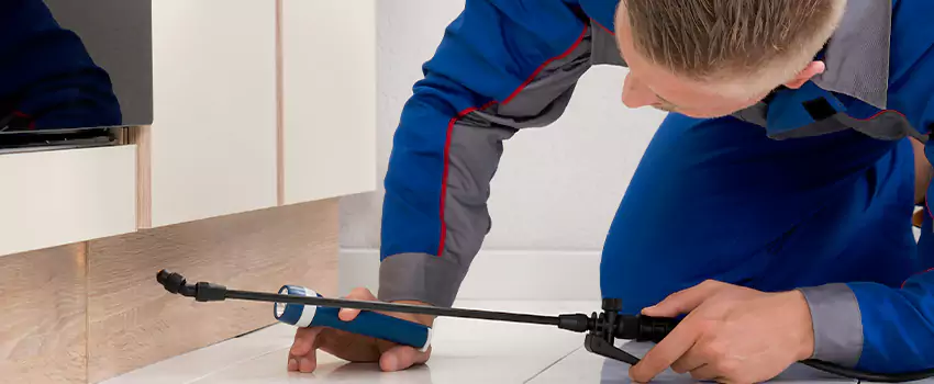 Ant Control for Bedrooms in Ontario, CA