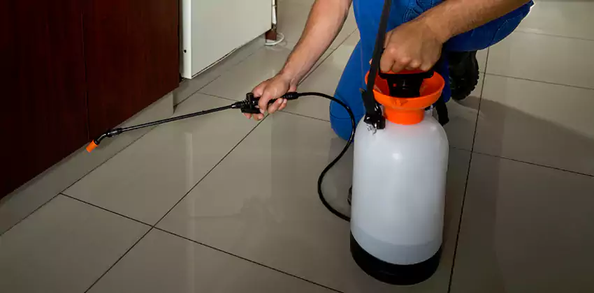 Commercial Pest Extermination for Offices in Ontario, CA