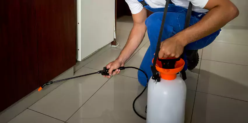 Commercial Flea Exterminator Company in Ontario, CA