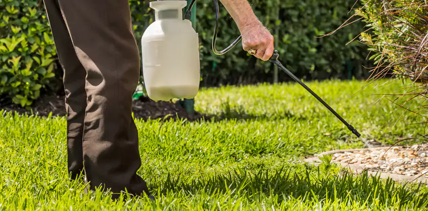 Grub Treatment for Bedrooms Ontario, CA