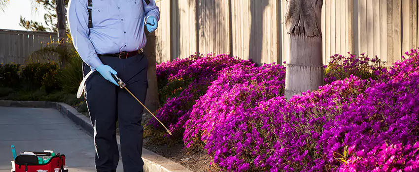 Commercial Mosquito Control Services in Ontario, CA