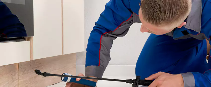 Termite Control for Children and Pets in Ontario, CA