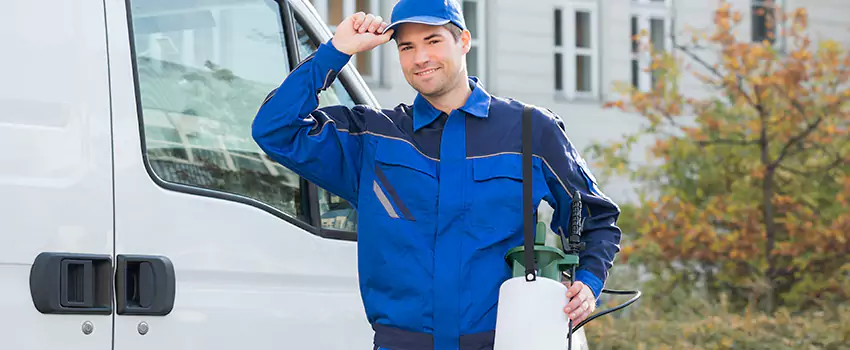 Whitefly Treatment for Bedrooms Ontario, CA