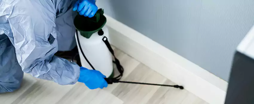 cockroach-exterminator in Ontario, CA