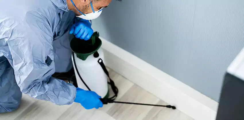 commercial-pest-exterminator in Ontario, CA
