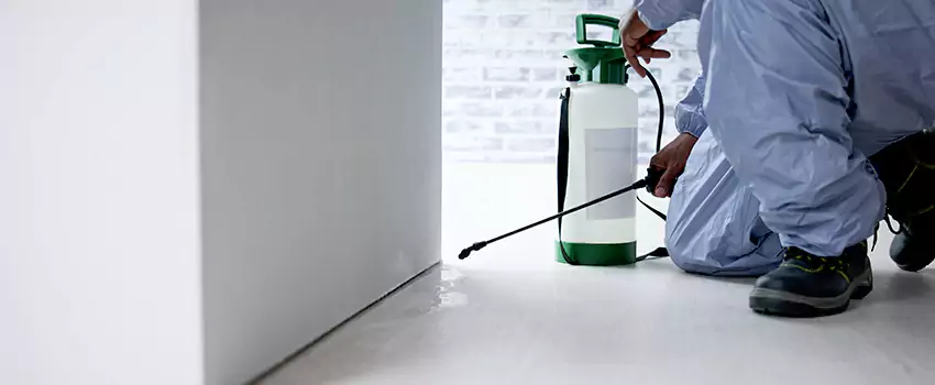 residential-pest in Ontario, CA