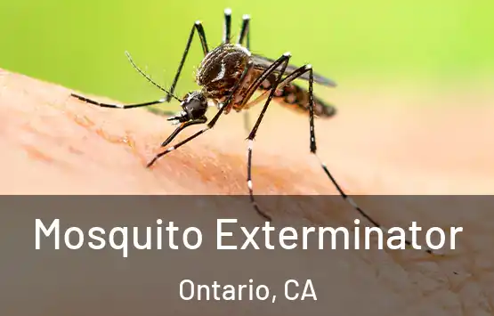  Mosquito Exterminator Ontario, CA