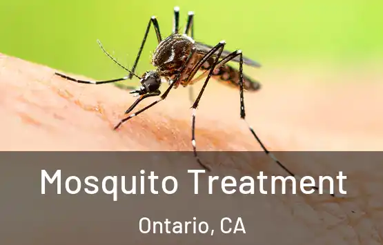  Mosquito Treatment Ontario, CA