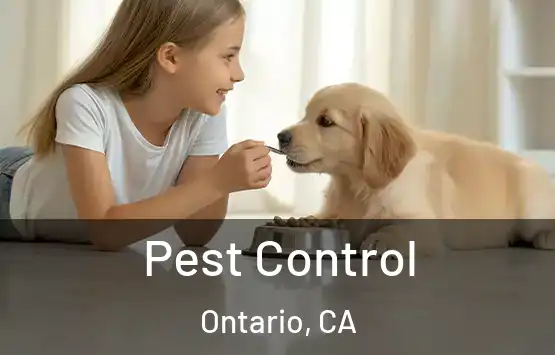  Pest Control Ontario, CA