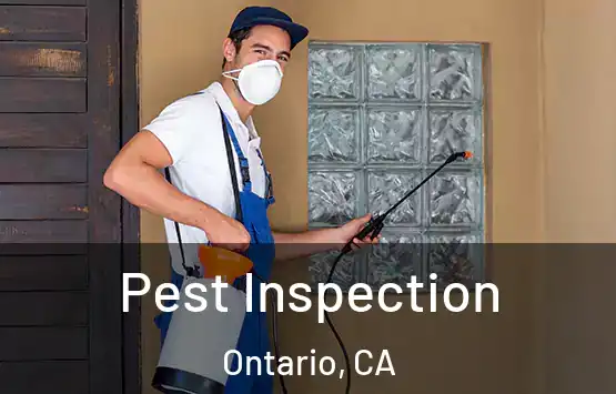  Pest Inspection Ontario, CA