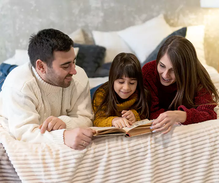 About Bed Bug Pest Control Ontario