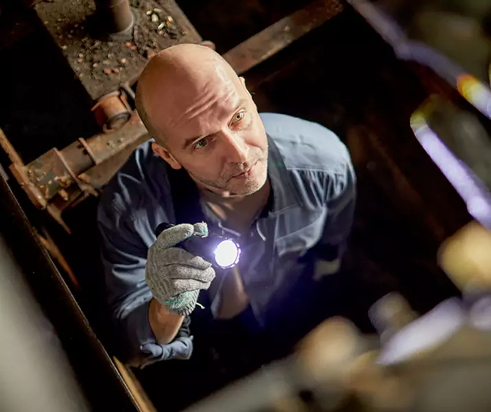 About Pest Inspection Ontario