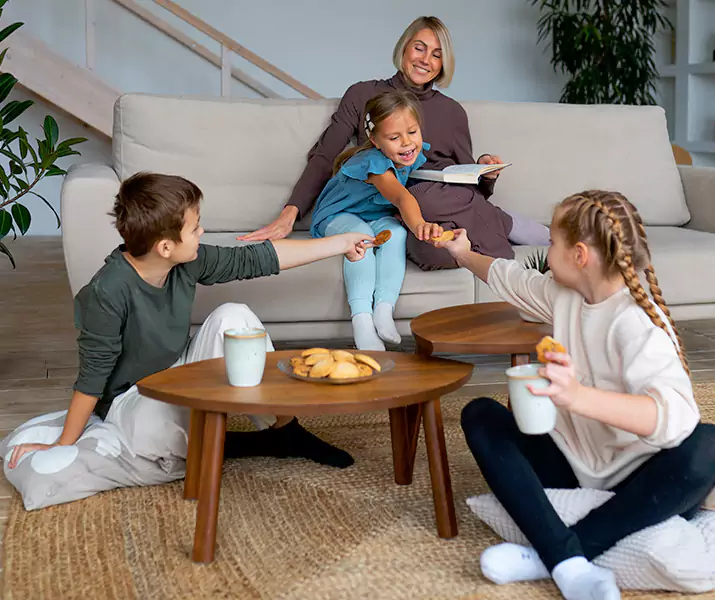 About Spider Exterminator Ontario