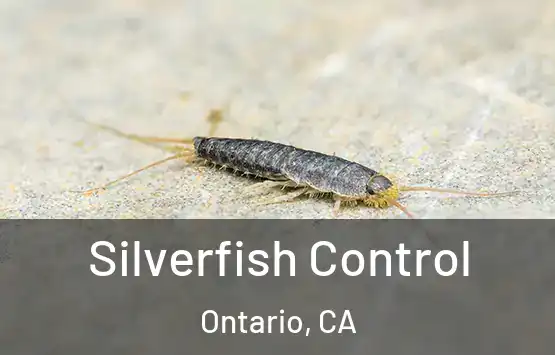  Silverfish Control Ontario, CA