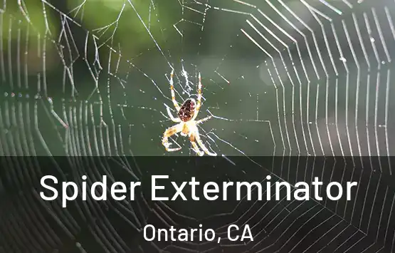 Spider Exterminator Ontario, CA