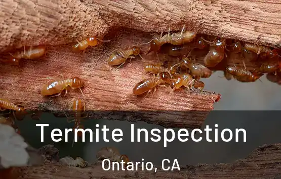  Termite Inspection Ontario, CA