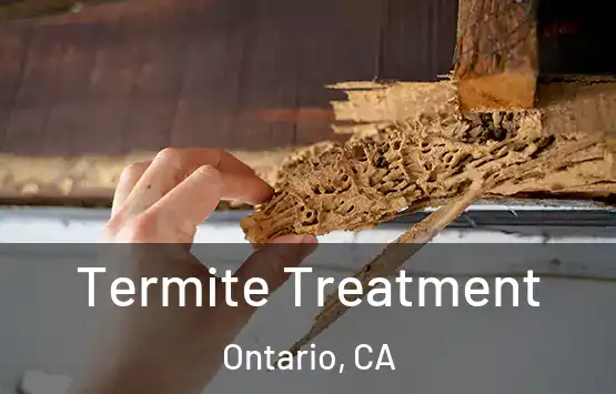  Termite Treatment Ontario, CA
