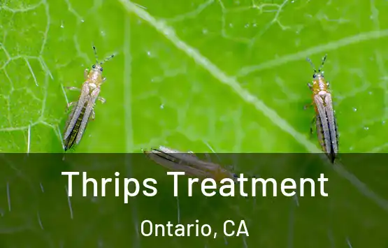  Thrips Treatment Ontario, CA