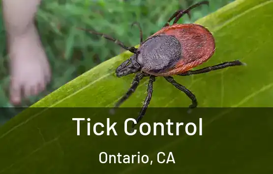  Tick Control Ontario, CA